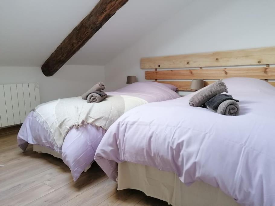 Gite L'Edelweiss 3* La Piarre Extérieur photo